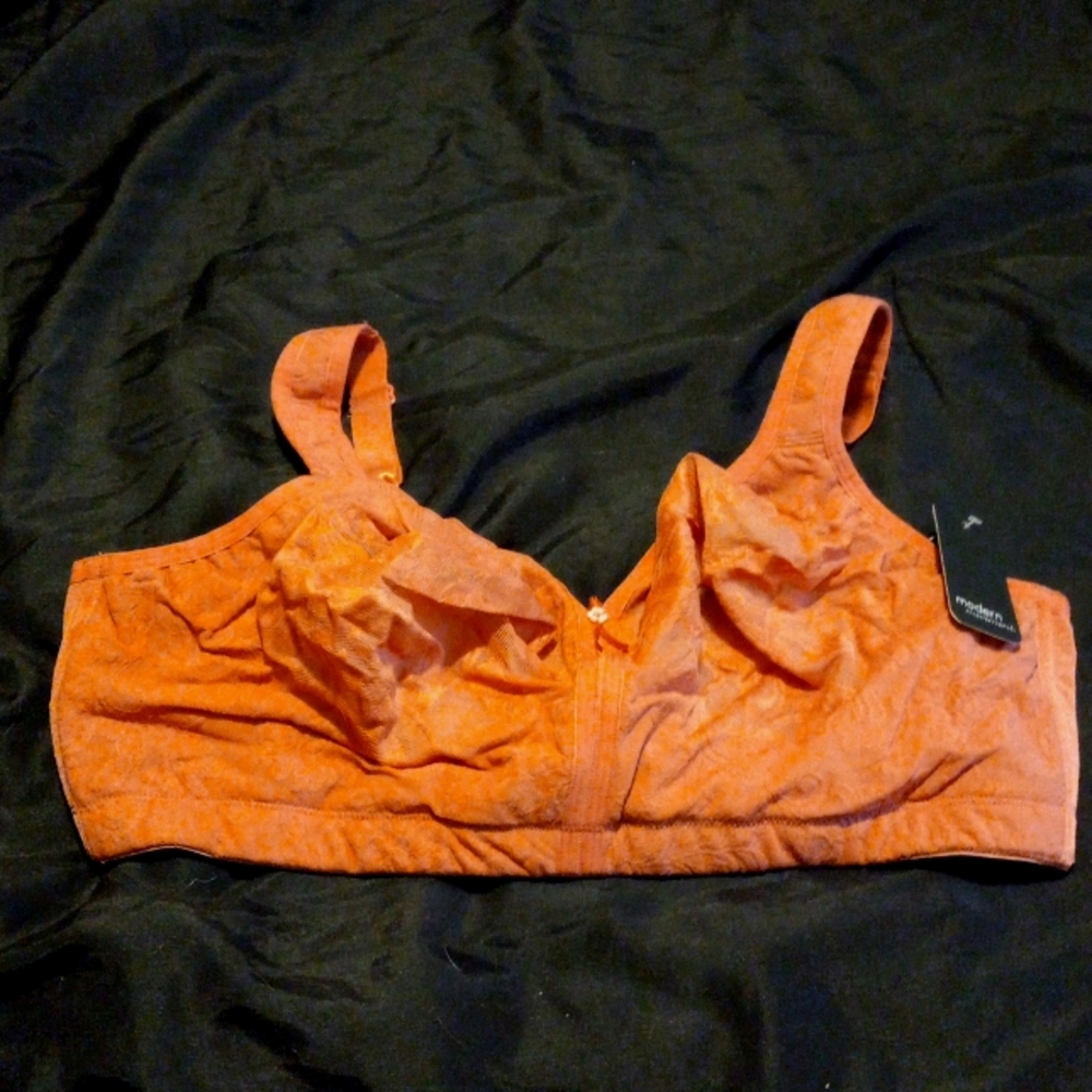 NWT 42G Dusty Cedar colored Bra, Modern Movement